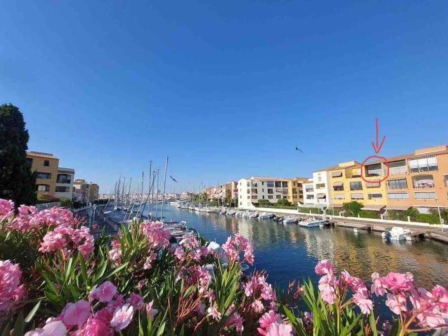 Cap'Nomad Studio Cote Mer - Balcon - Piscine - Parking Agde Eksteriør bilde